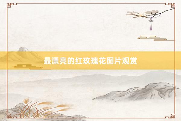 最漂亮的红玫瑰花图片观赏